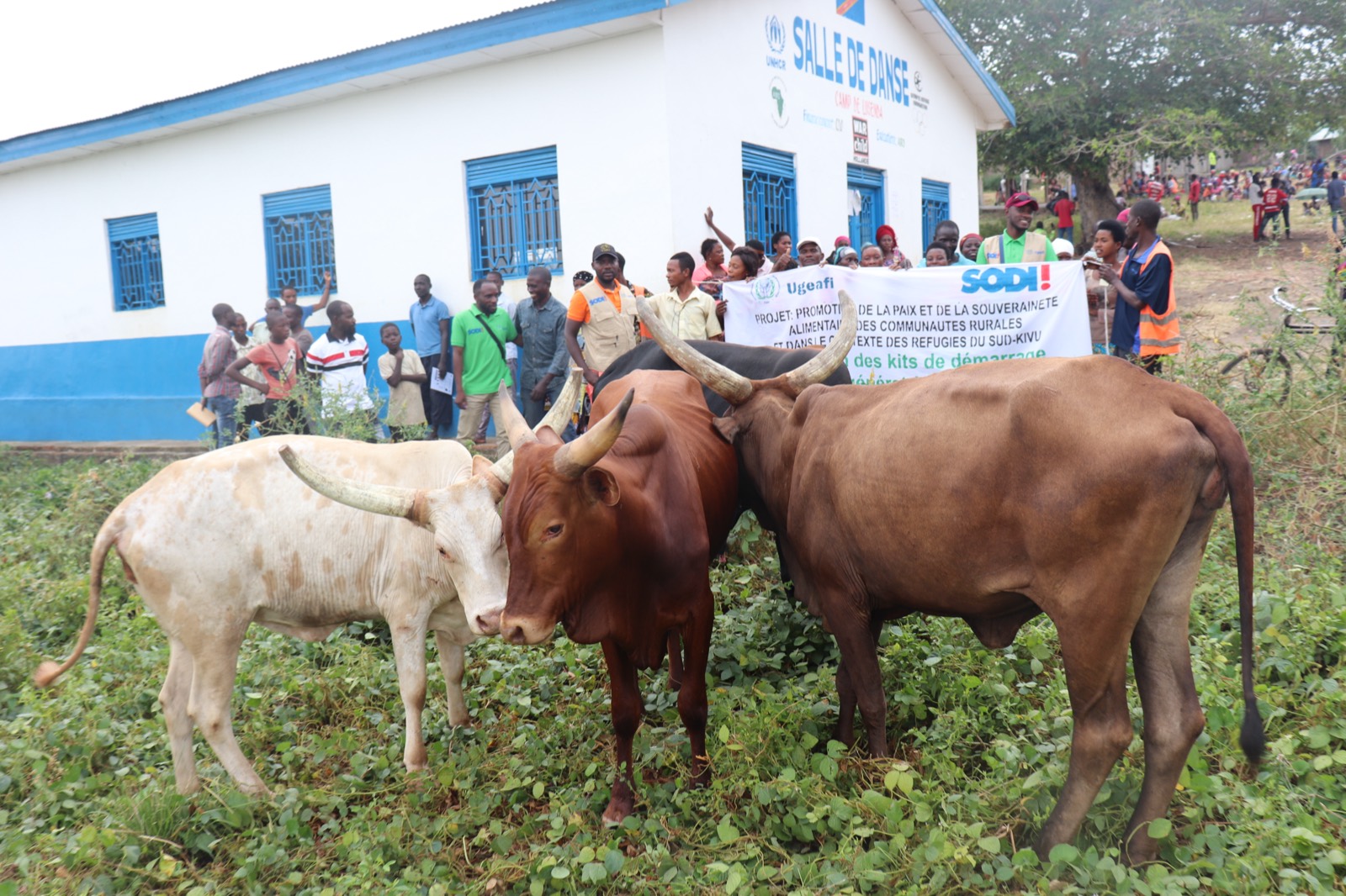 Economic Empowerment