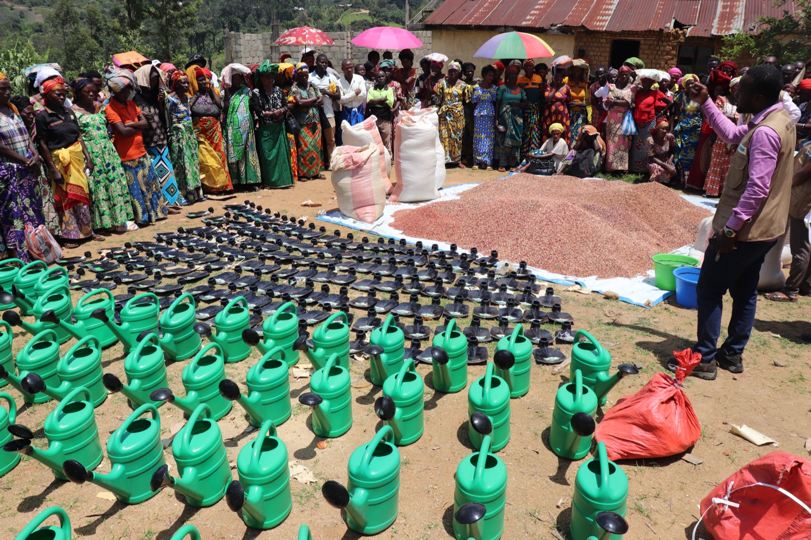 Food Security & Livelihoods