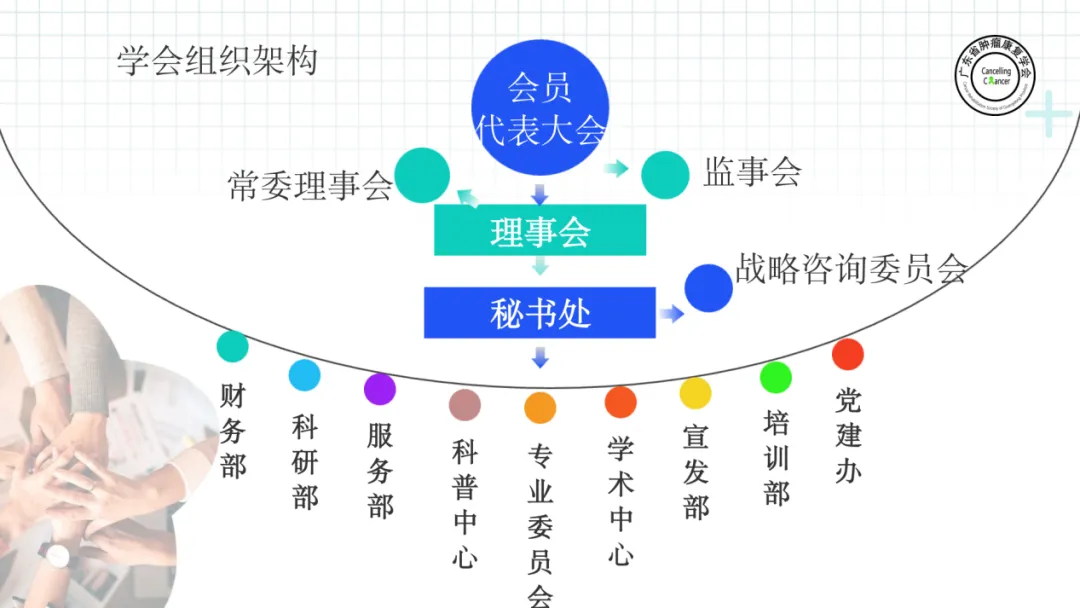 广东省肿瘤康复学会组织架构图