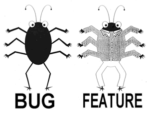 Bug vs Feature