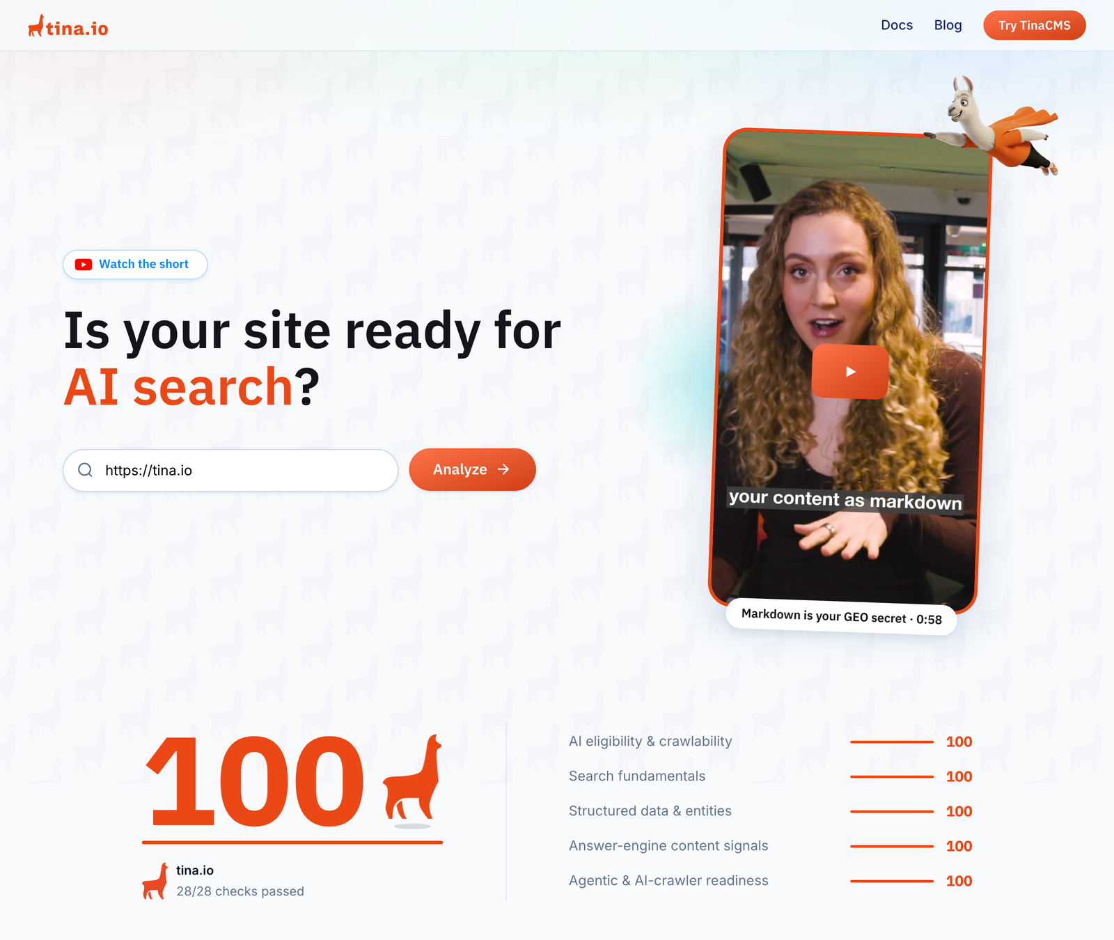 The TinaCMS GEO checker with tina.io entered, showing a score of 100 with 28 of 28 checks passed