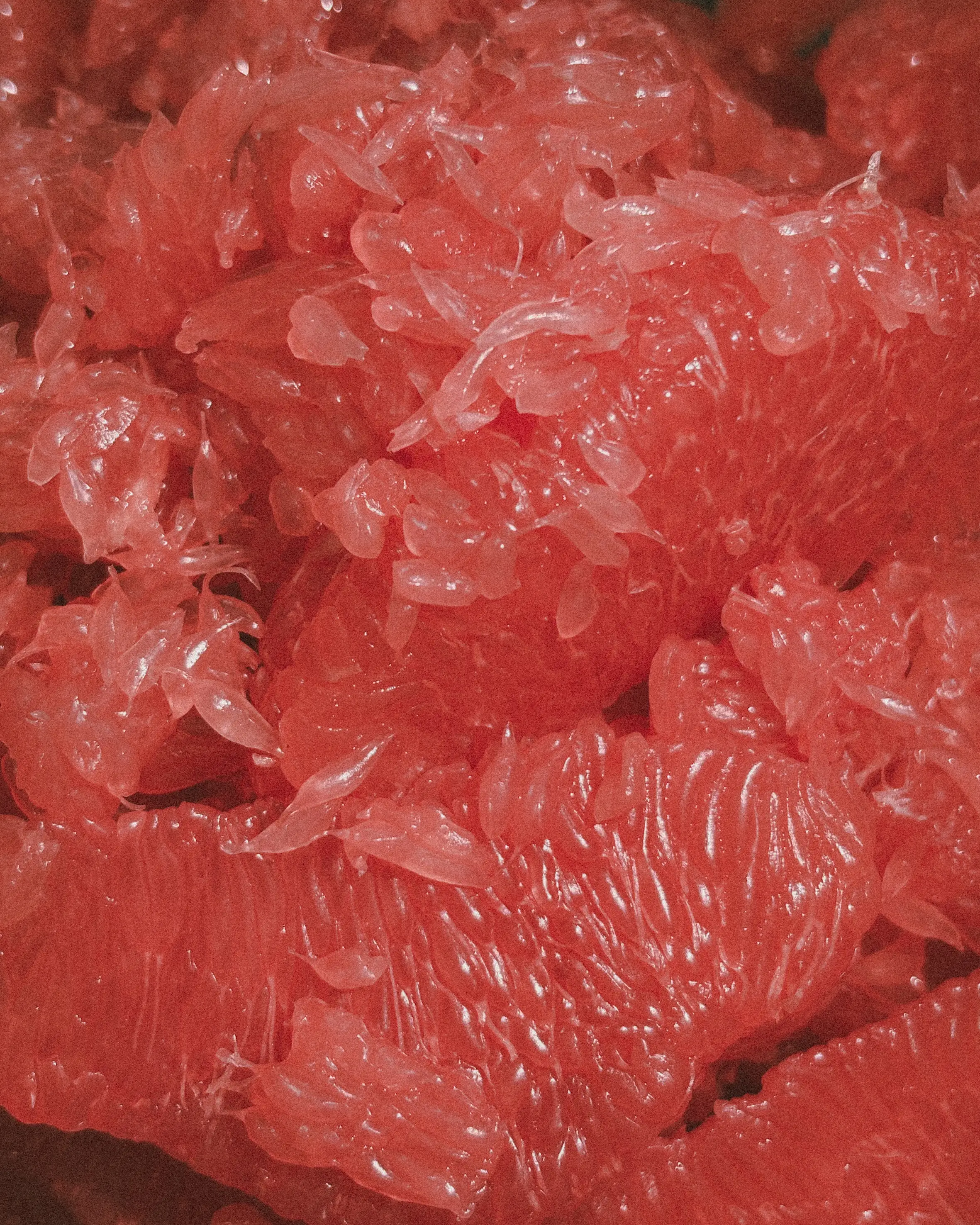 Fresh grapefruit