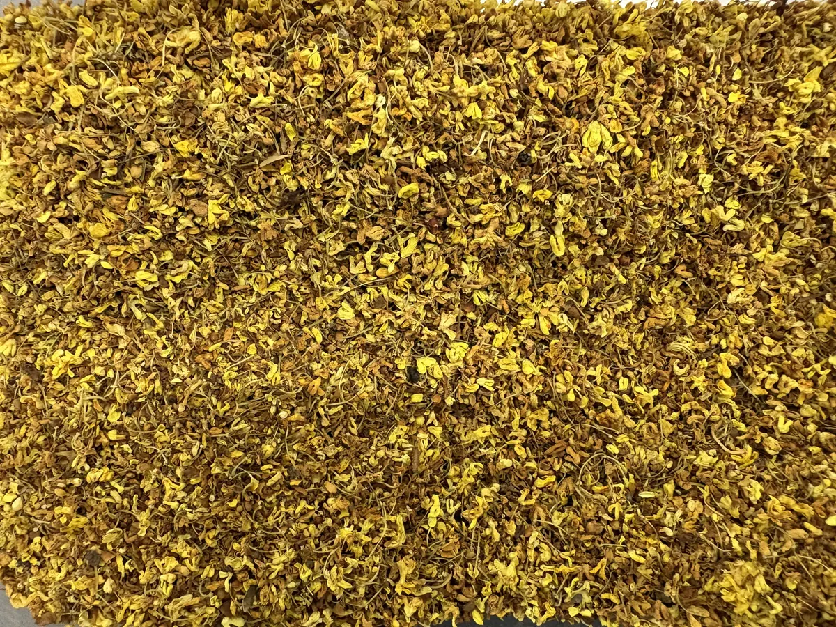 Bunga osmanthus kering