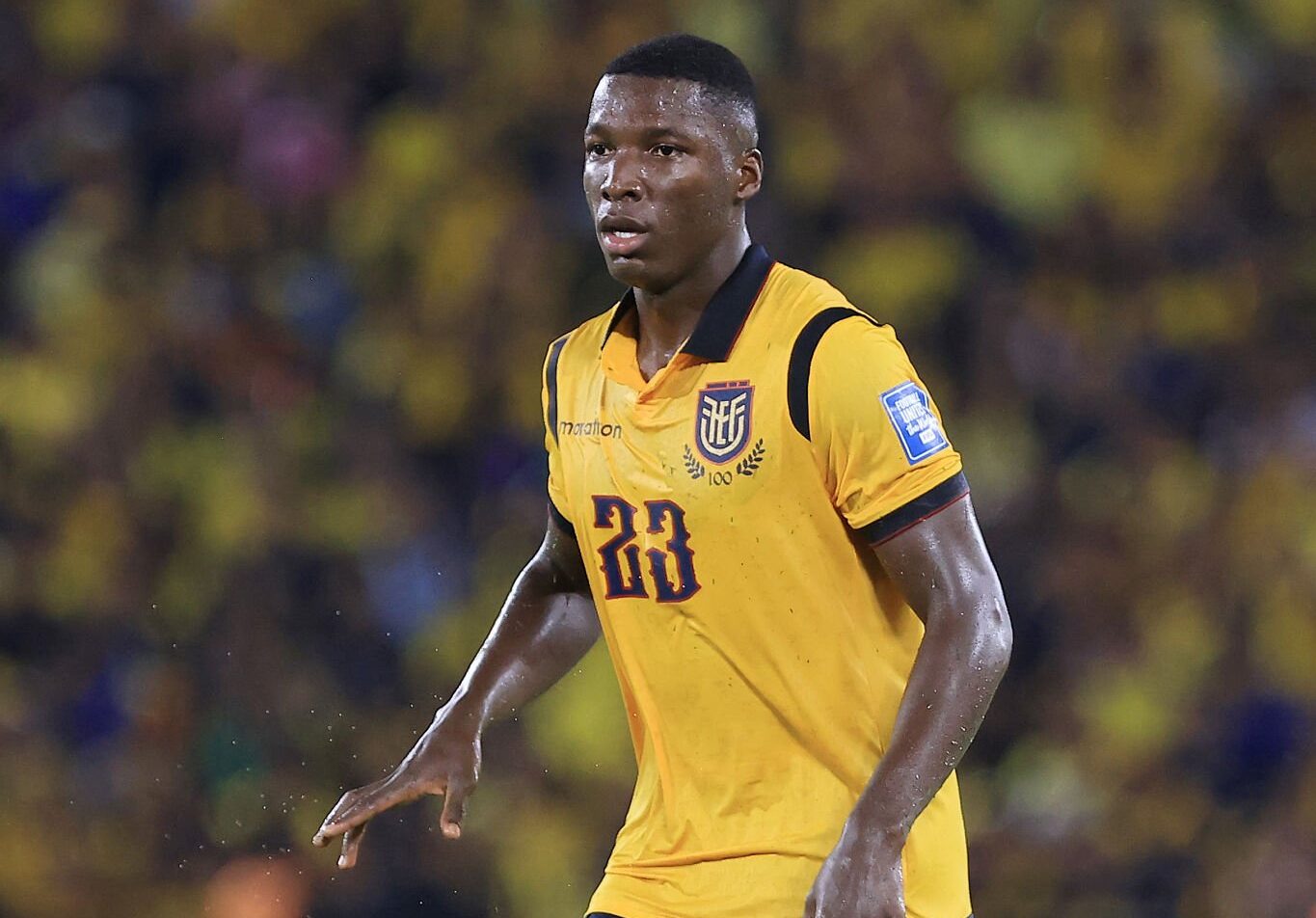 img of Moisés Caicedo se salva de la sanción gracias a la amnistía de la FIFA