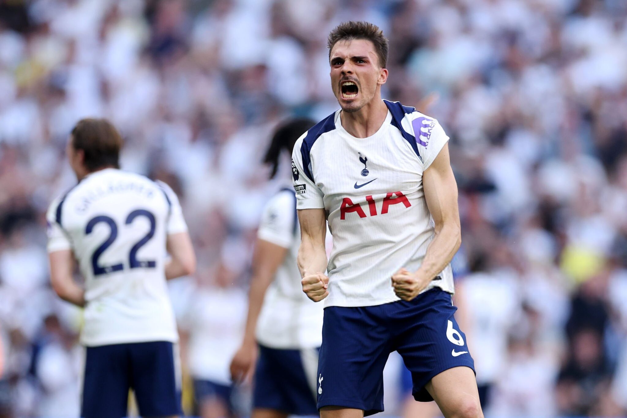 Tottenham supera a Everton y se salva del descenso