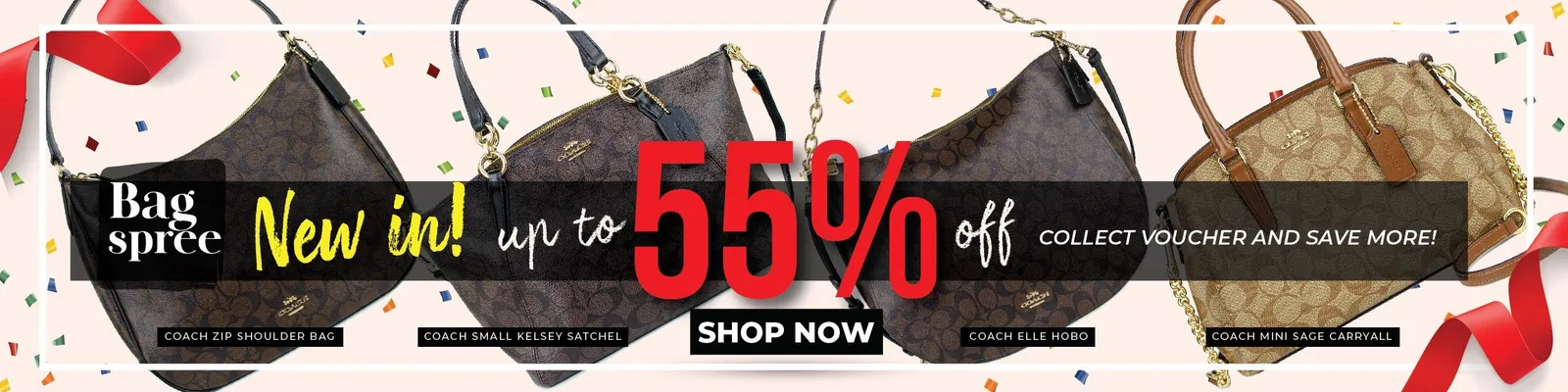 Bagspree brand application