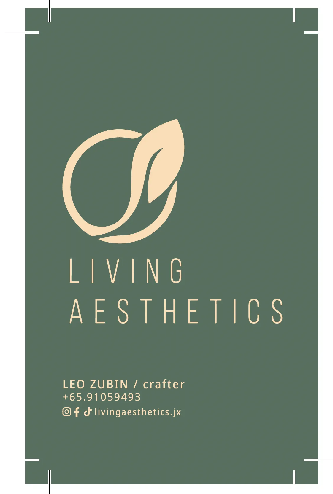 Brand identity design 12
