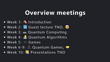 Workshop schedule showing 10-week program covering topics from Introduction to Quantum Games and TNO presentations