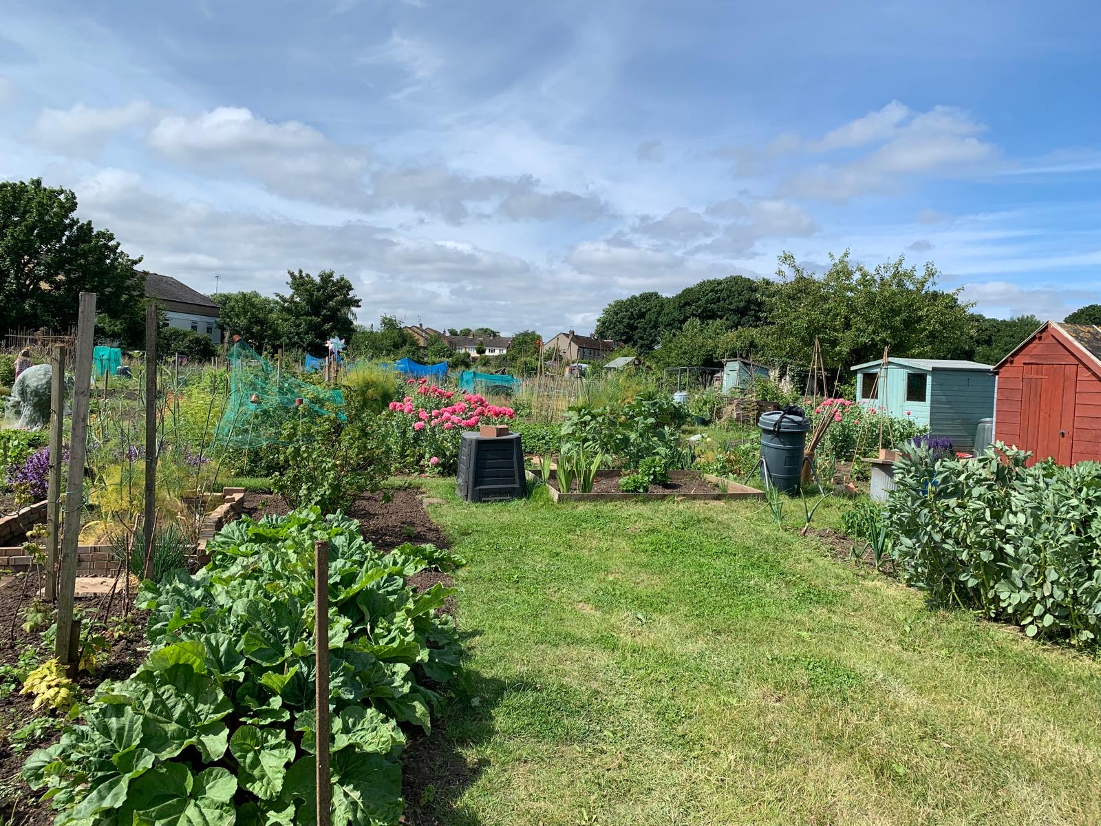 Staple Hill and District allotments
