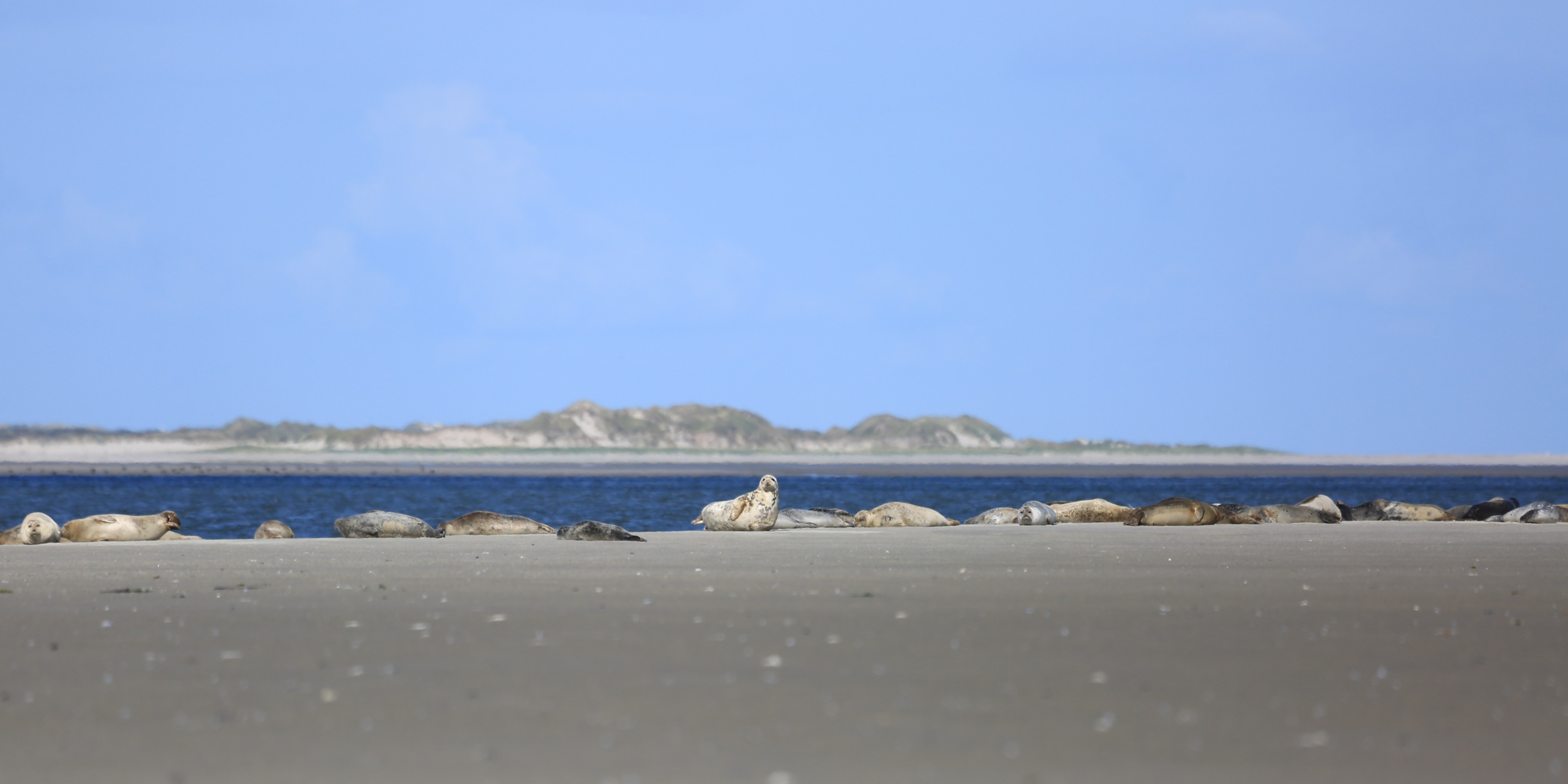Type tocht