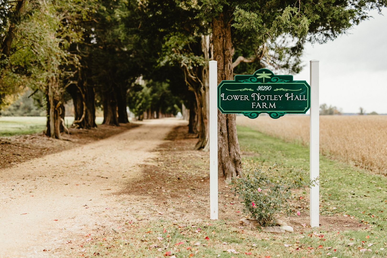 Cedar Lane Entrance