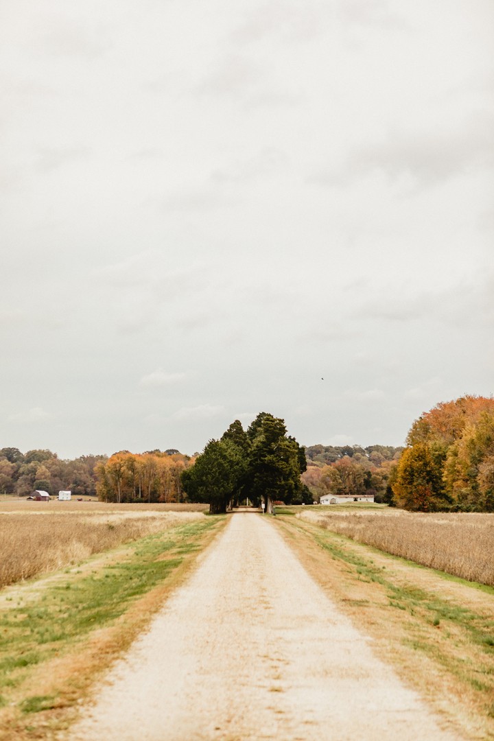 Cedar Lane