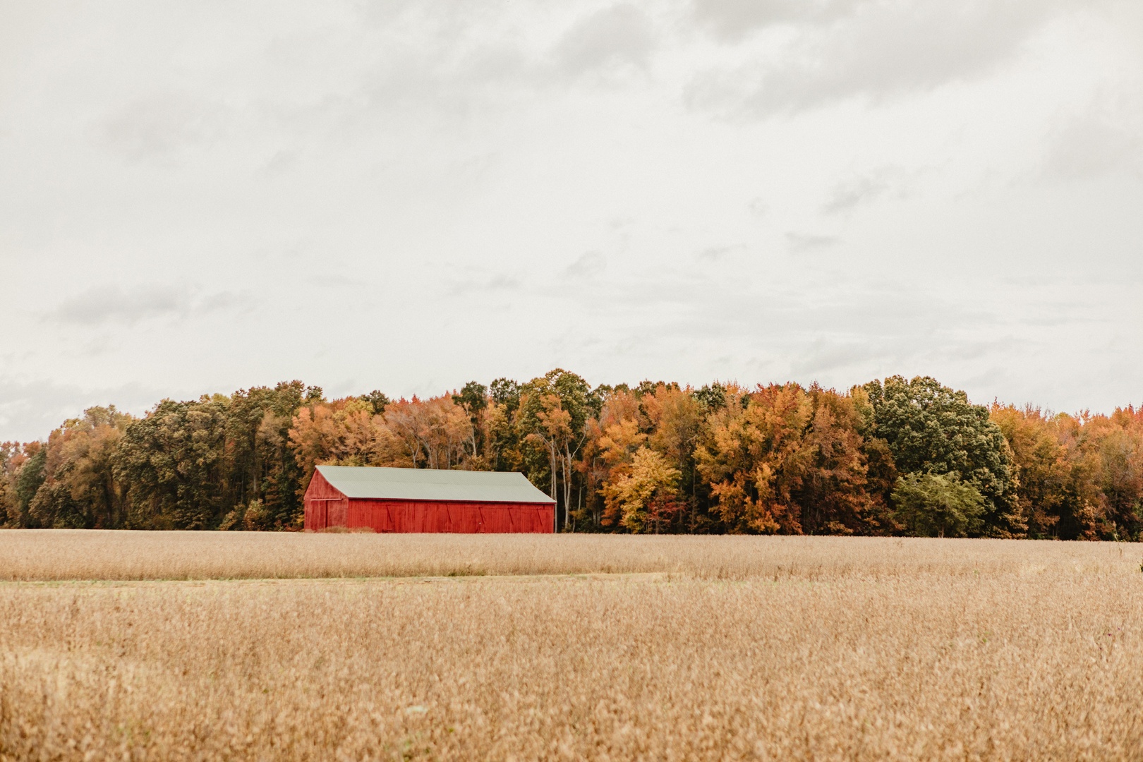 Rolling golden fields within sight of the Manor House and Reception Barn