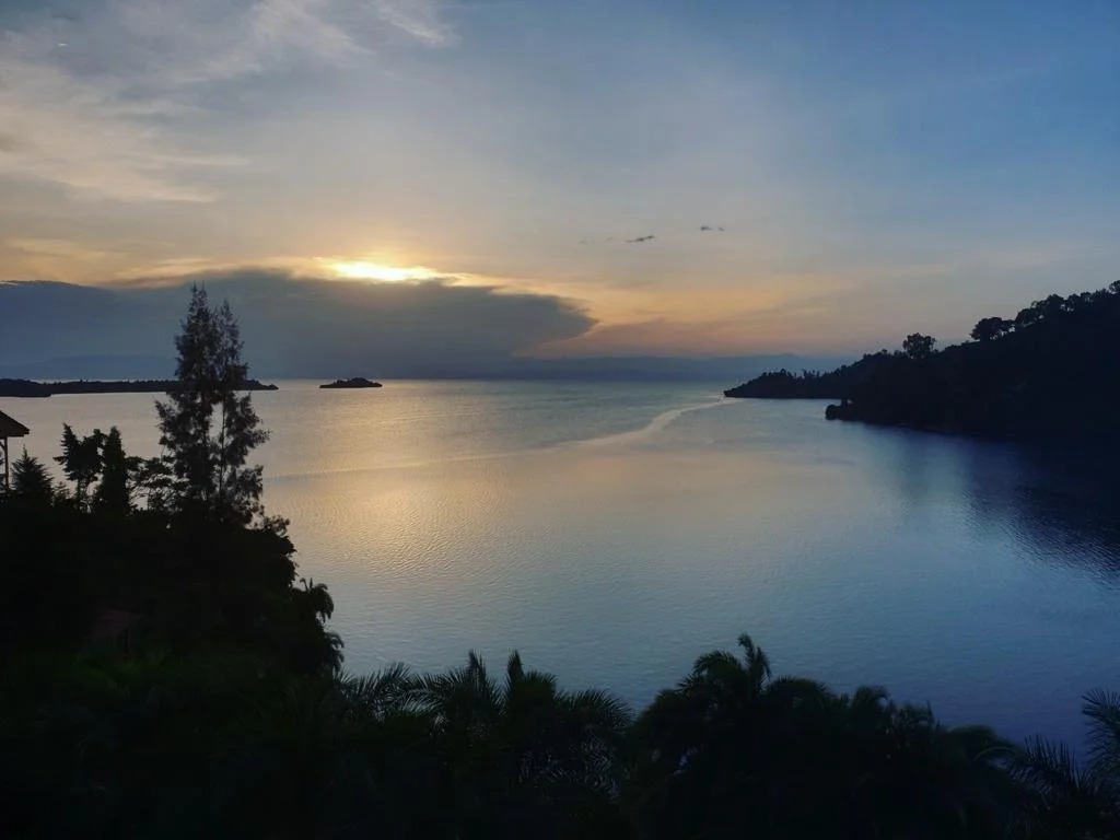 HbA1c: A Key Indicator of Blood Sugar Control