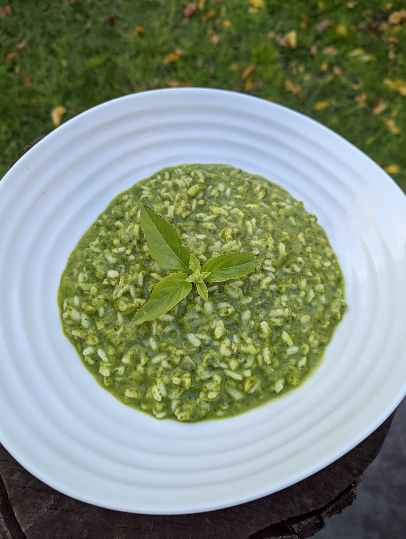 Pesto Risotto