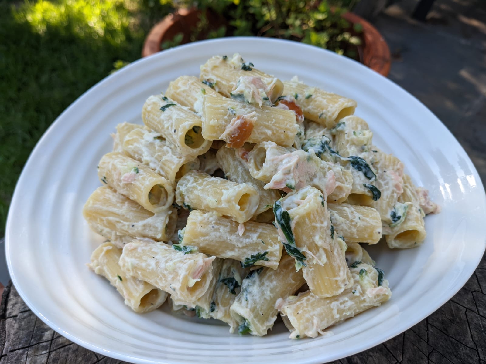 Smoked Salmon Fillet & Ricotta Rigatoni