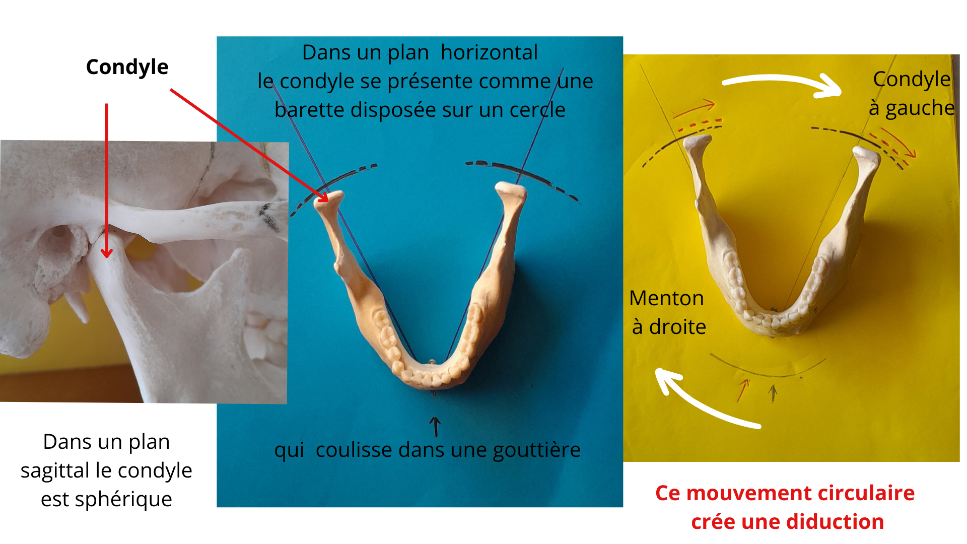 ATM et diduction | Dominique Kindt