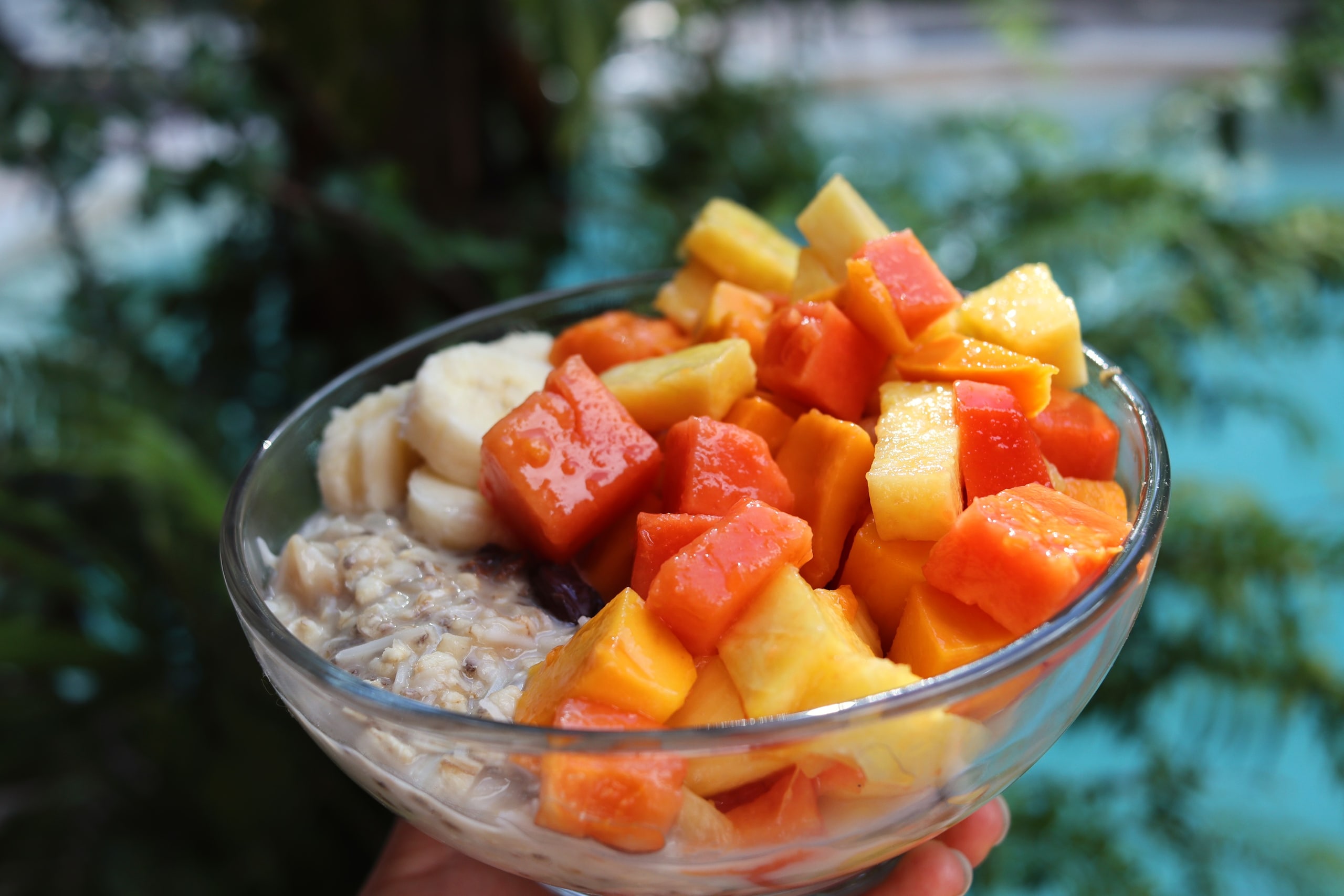 Fresh fruit and porridge in a bowl 