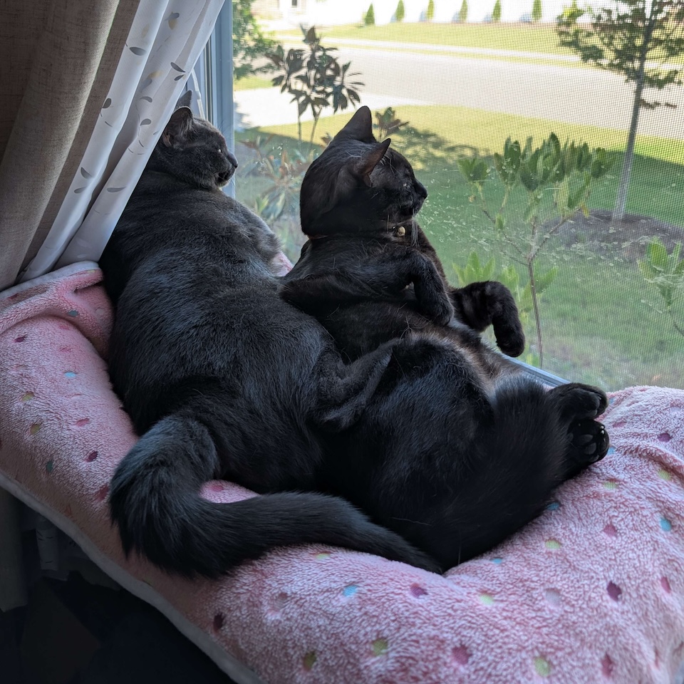 Ferb (left) and Phineas (right) <3