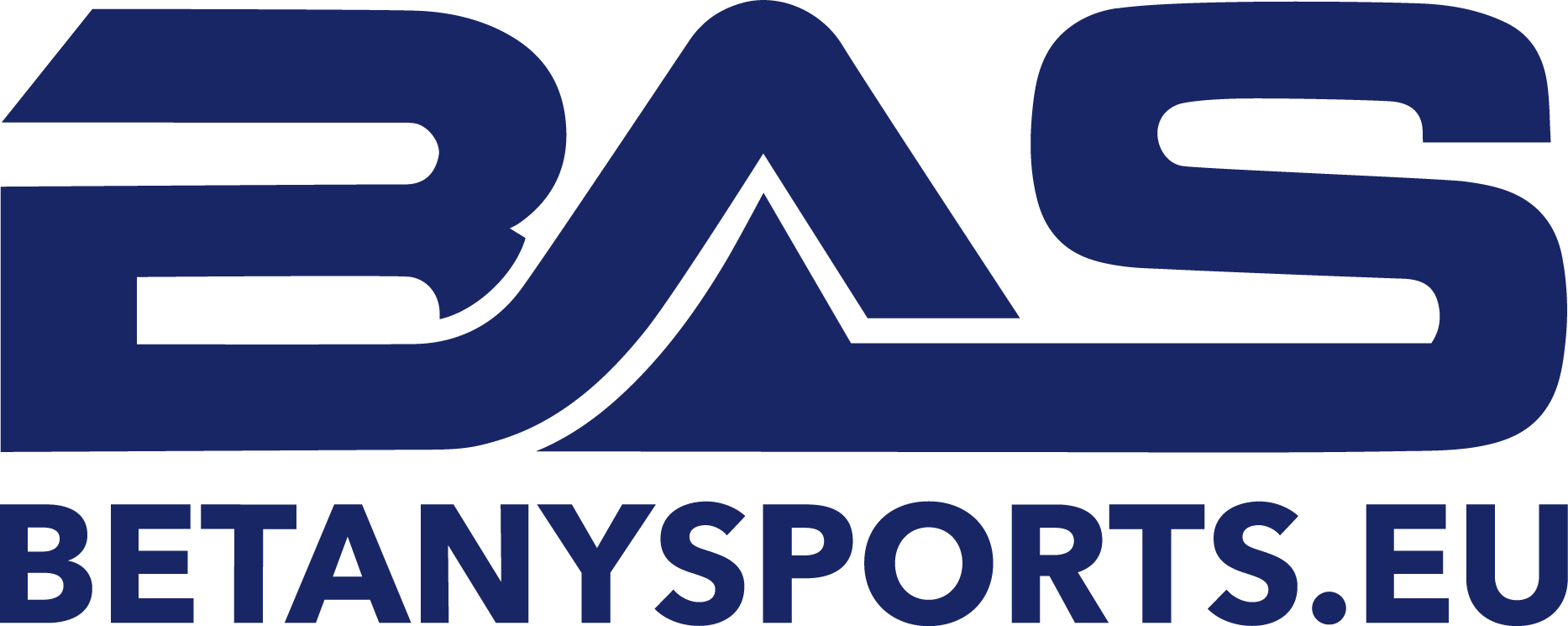 BetAnySports logo
