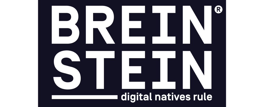 Breinstein Logo