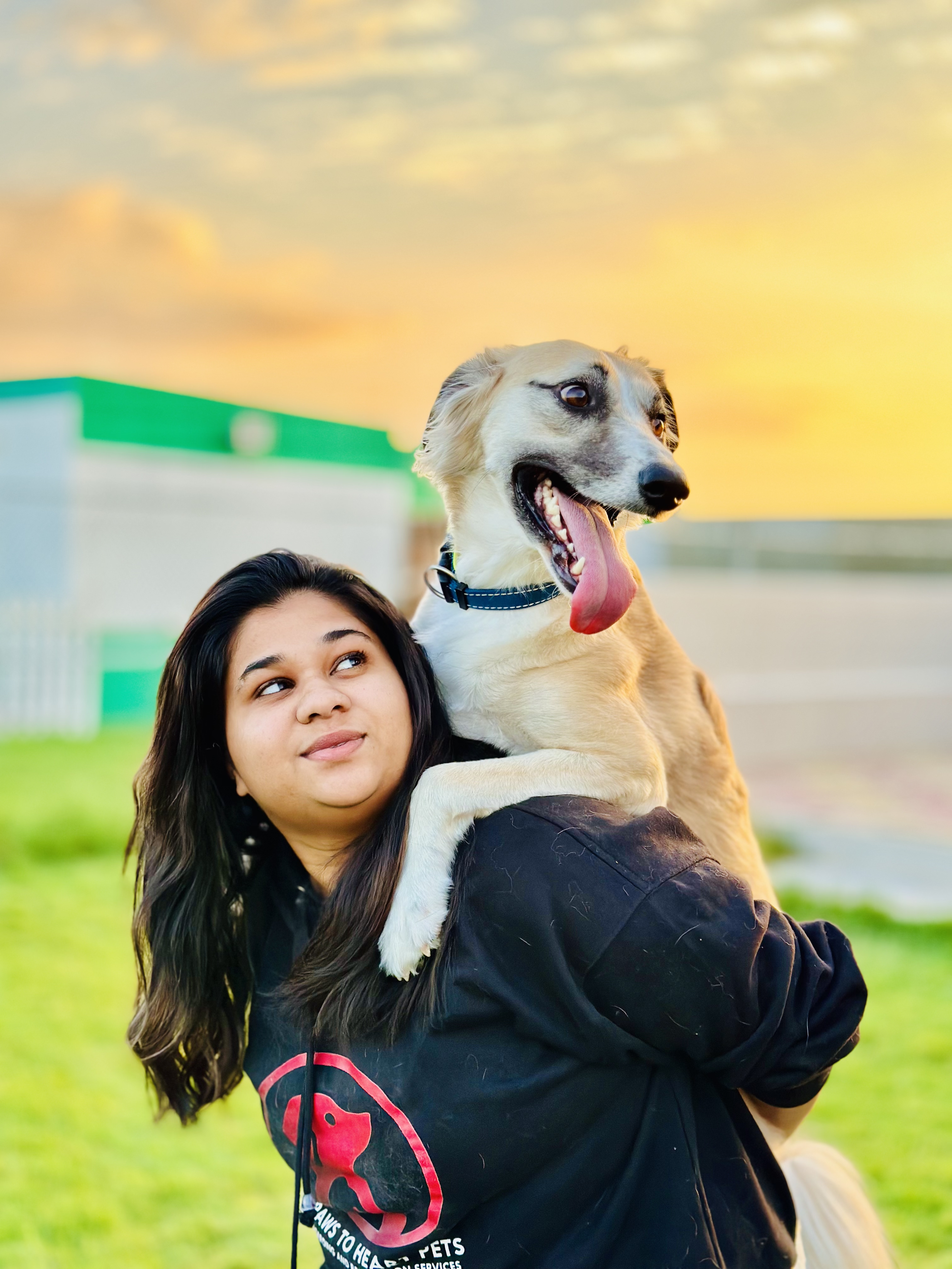 paws to heart - pet boarding and daycare - dubai