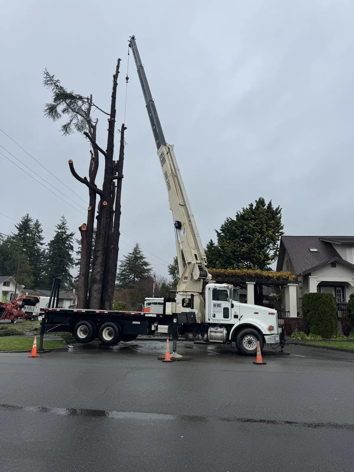 Boom truck supporting a tree removal