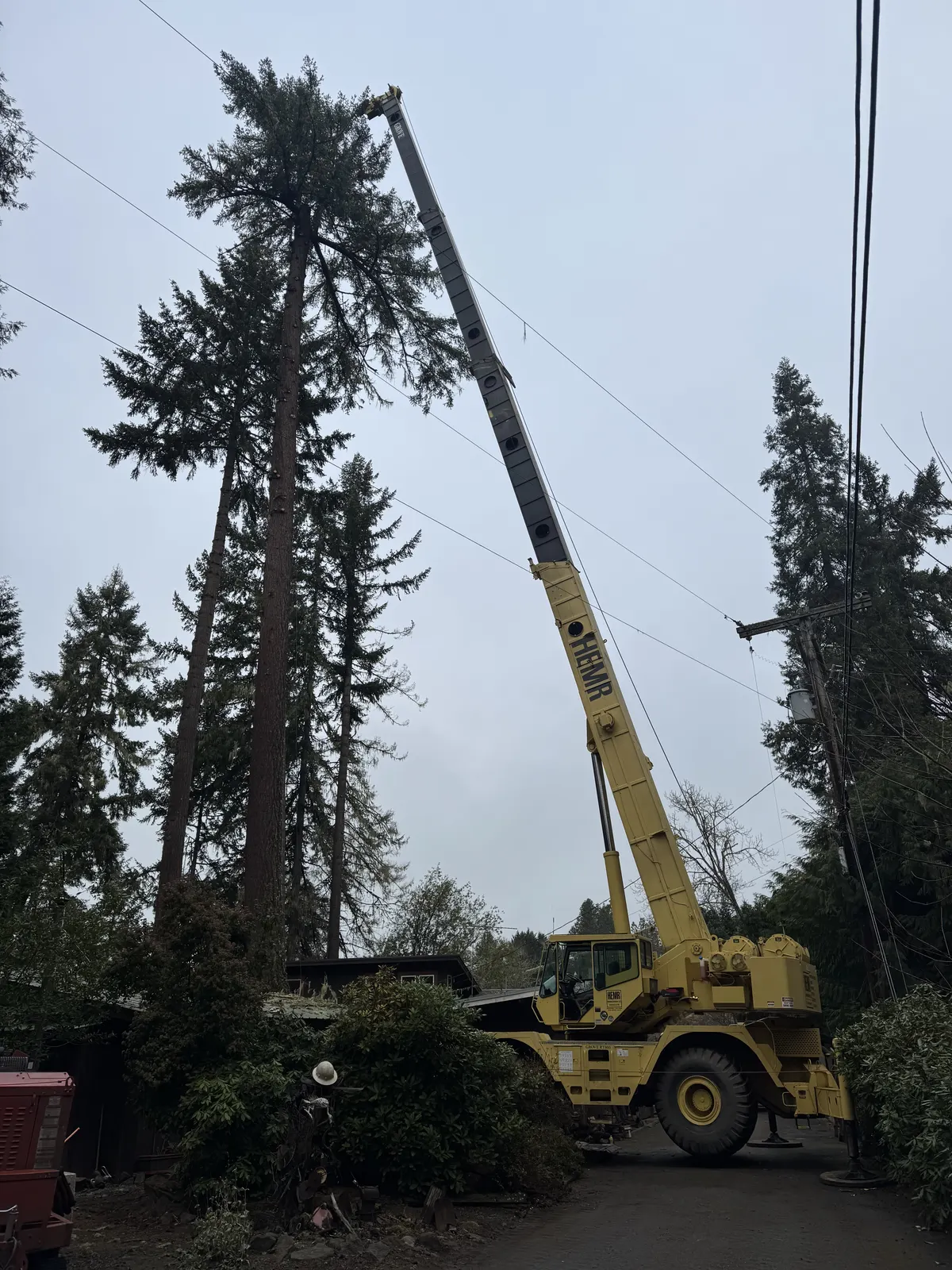 Crane service for a local tree company