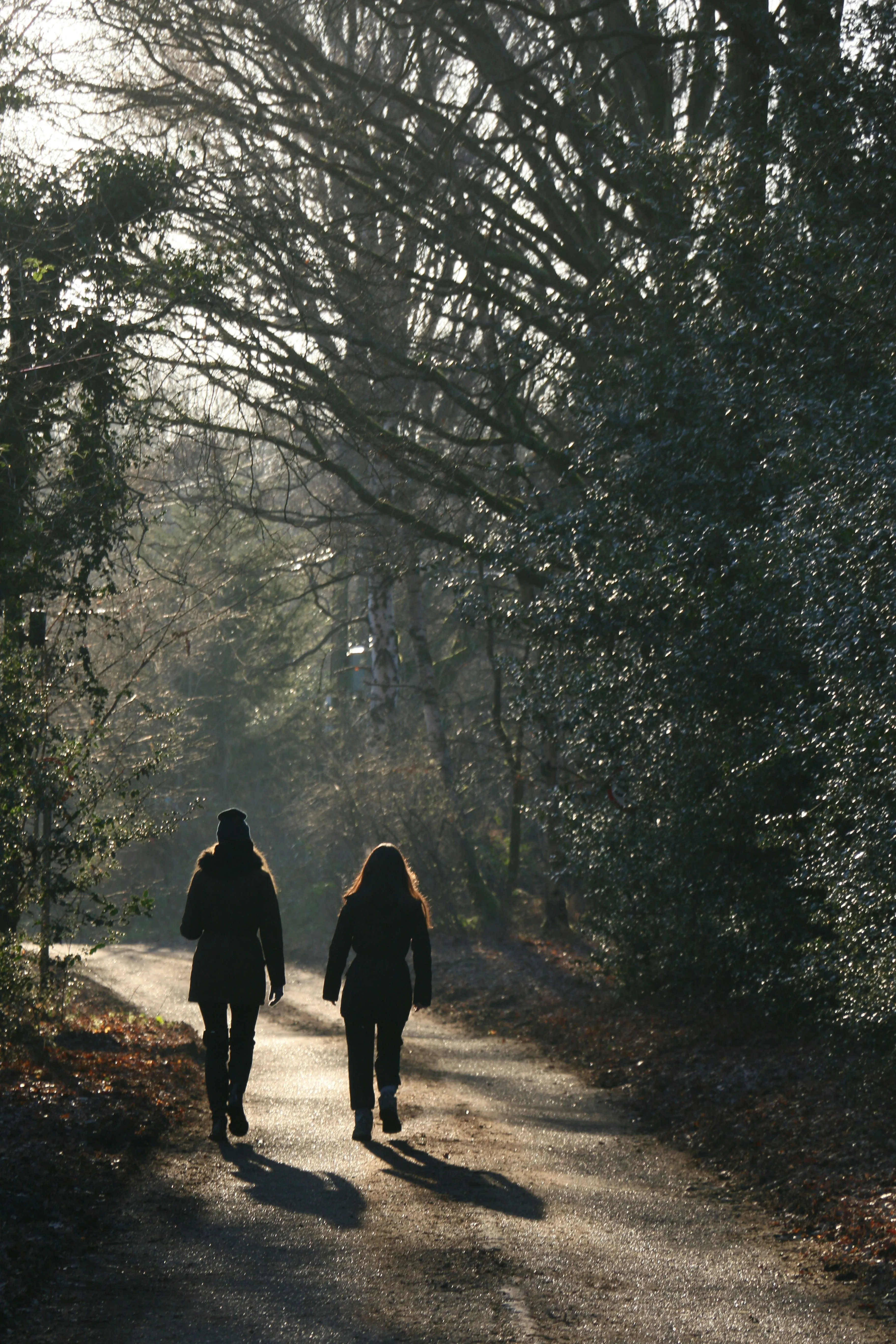 Zwei Menschen beim Spaziergang auf einem Naturweg