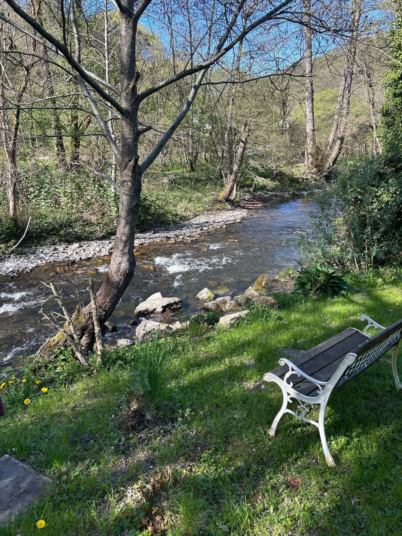 Bank am Bach im Grünen beim Retreat