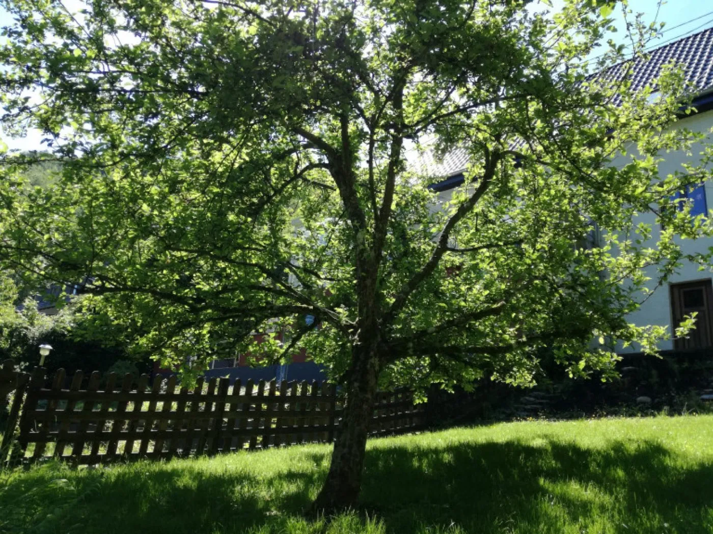 Garten und Seminarhaus bei einem Trauerretreat