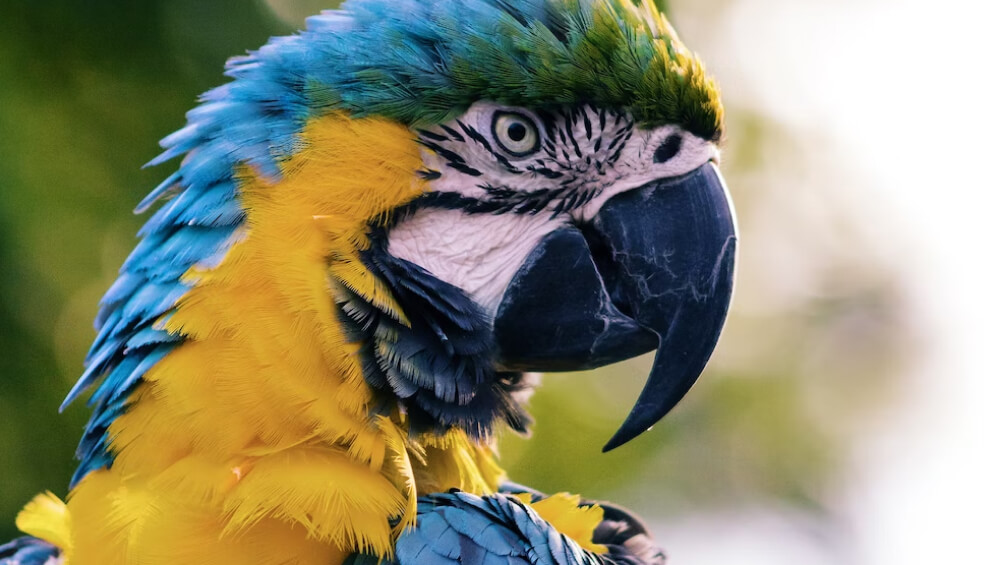 Just Another Blog Post