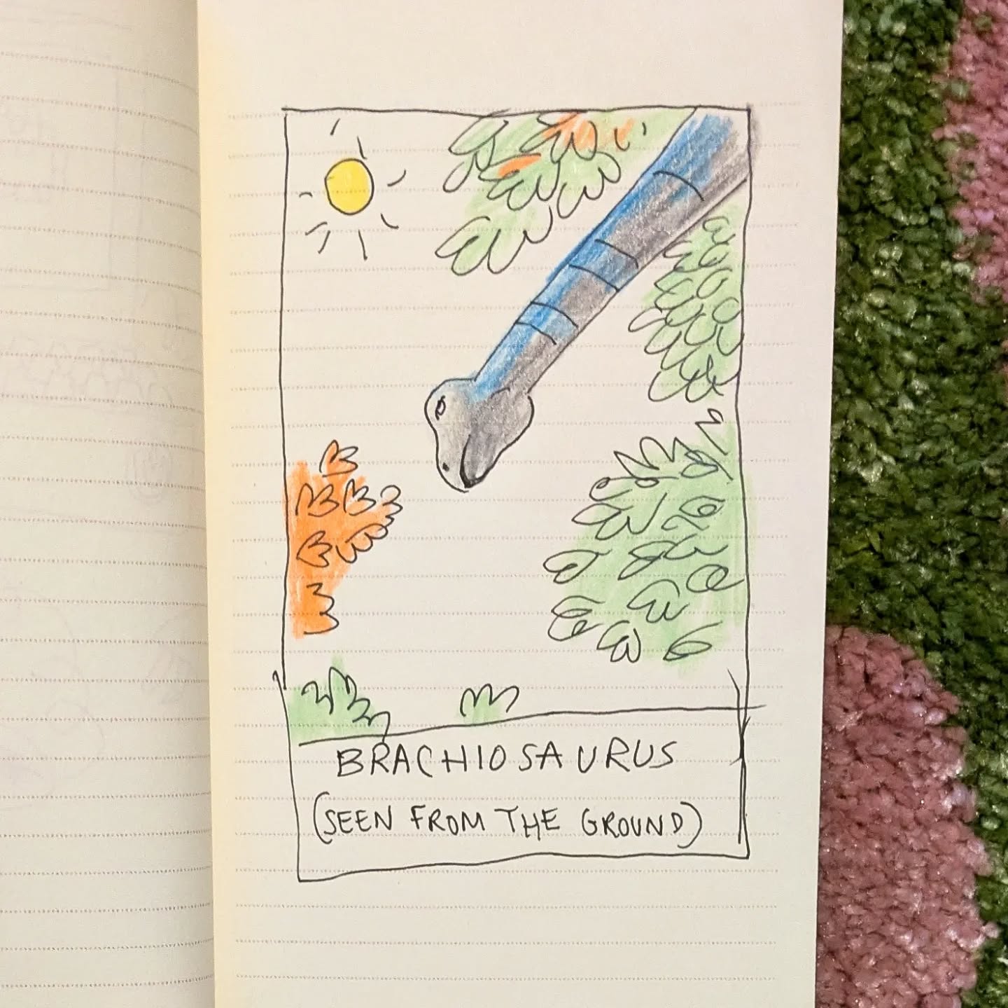 Brachiosaure (vu du sol)