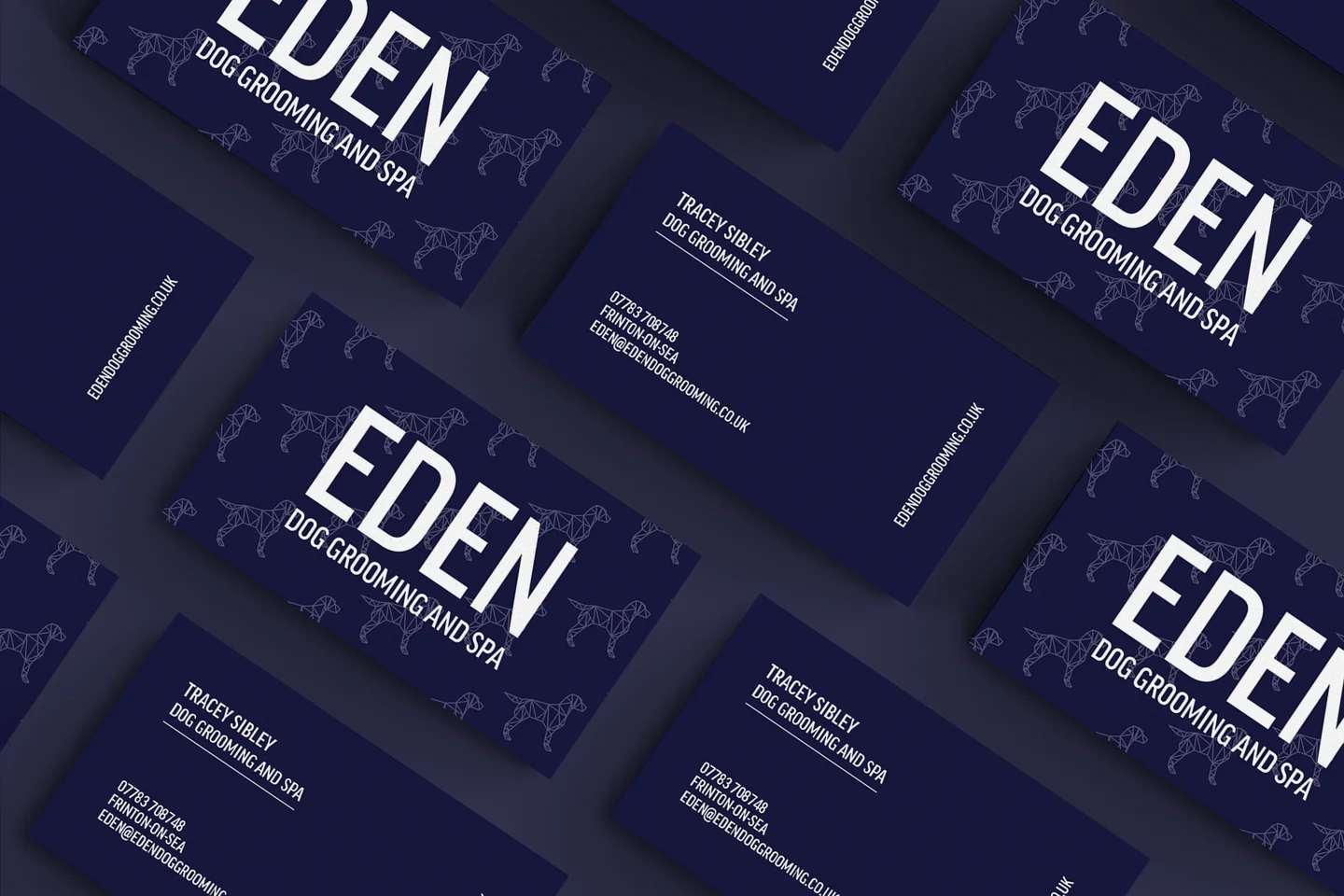Project preview