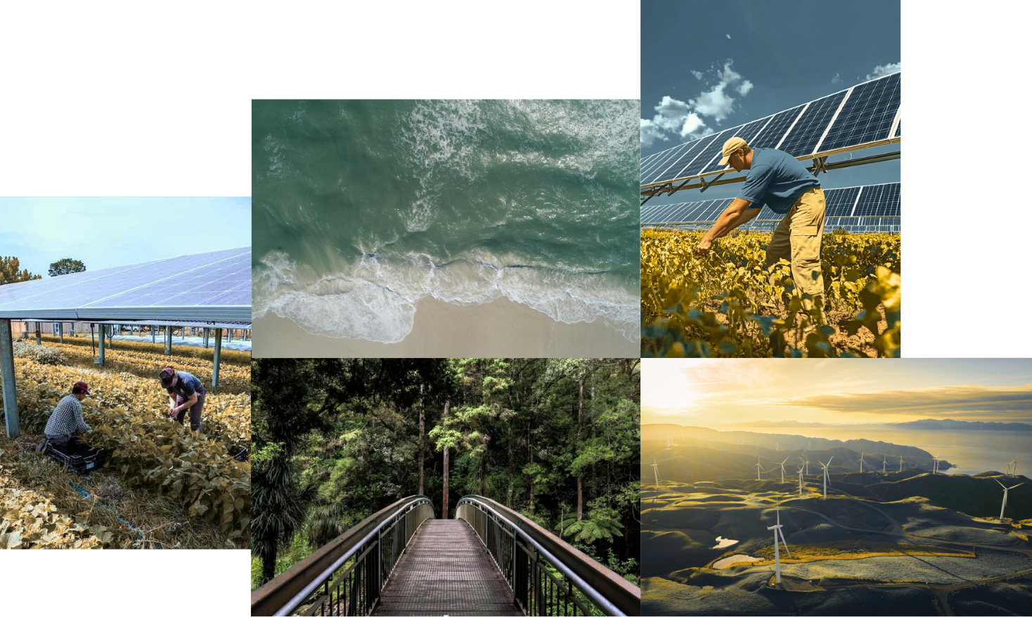 A collage of solar panels with farm workers, an ocean shoreline, a forest boardwalk, and wind turbines on hills