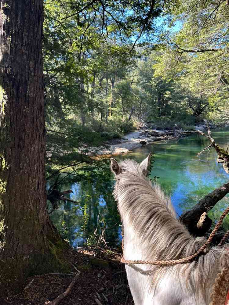 Cabalgata de día completo