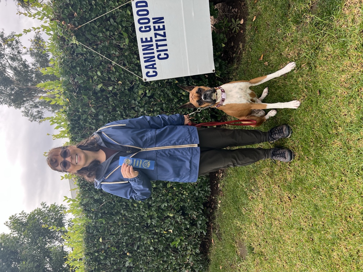 Beach Breezes Coco Canine Good Citizen