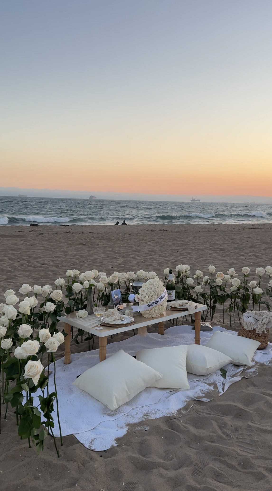 An intimate white-rose-lined picnic setup on the beach with a low table, pillows, champagne, and a stunning sunset over the ocean.