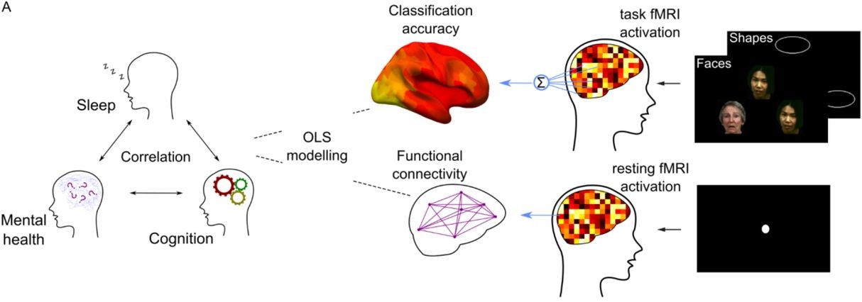 Shared Neural Signature between Sleep, Cognition, and Depression