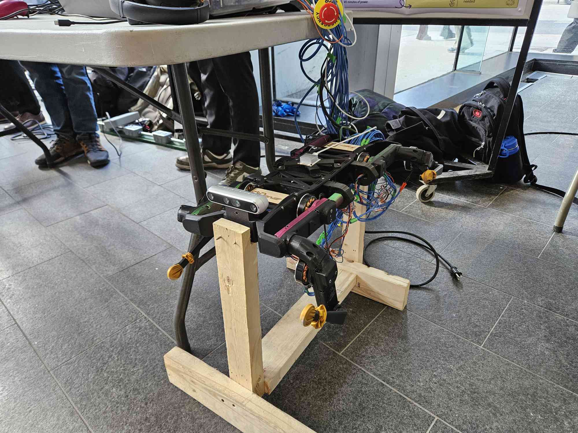 Newton Quadruped Retrofit