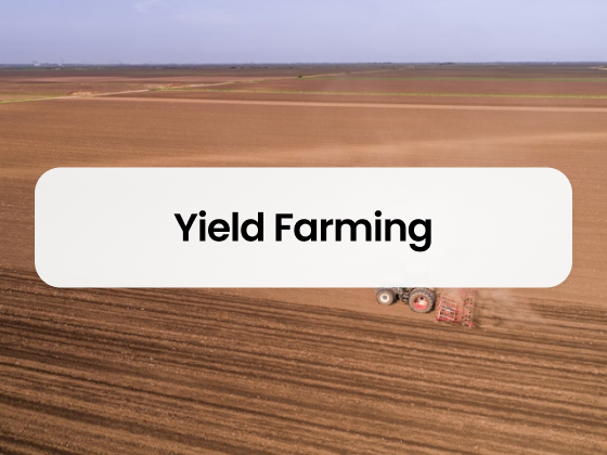 Yield Farming