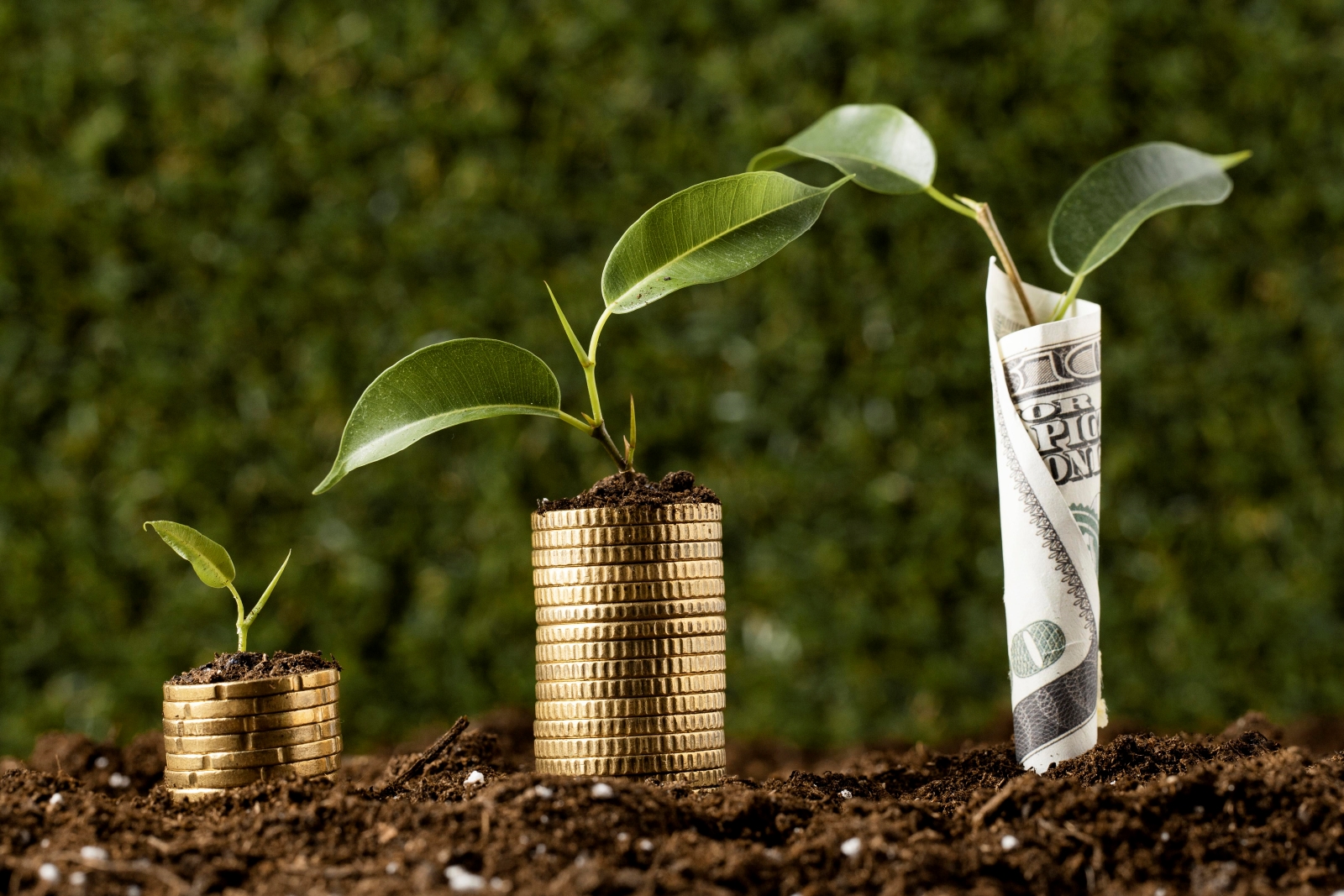 Part 4: How to Generate the Capital You Need Simply and Painlessly ...