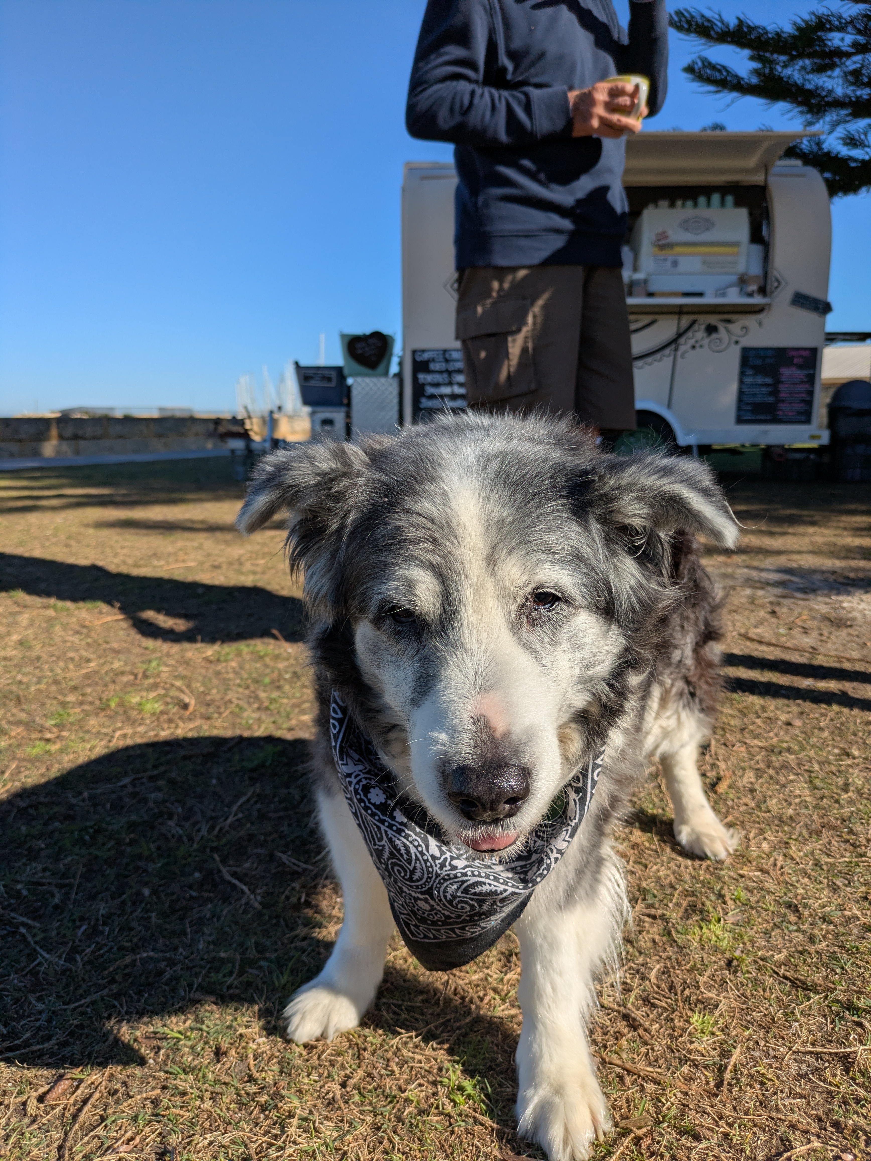 picture of Molly