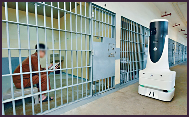 Prevent Prisoner Self-Harm in Correctional Facilities detail 3