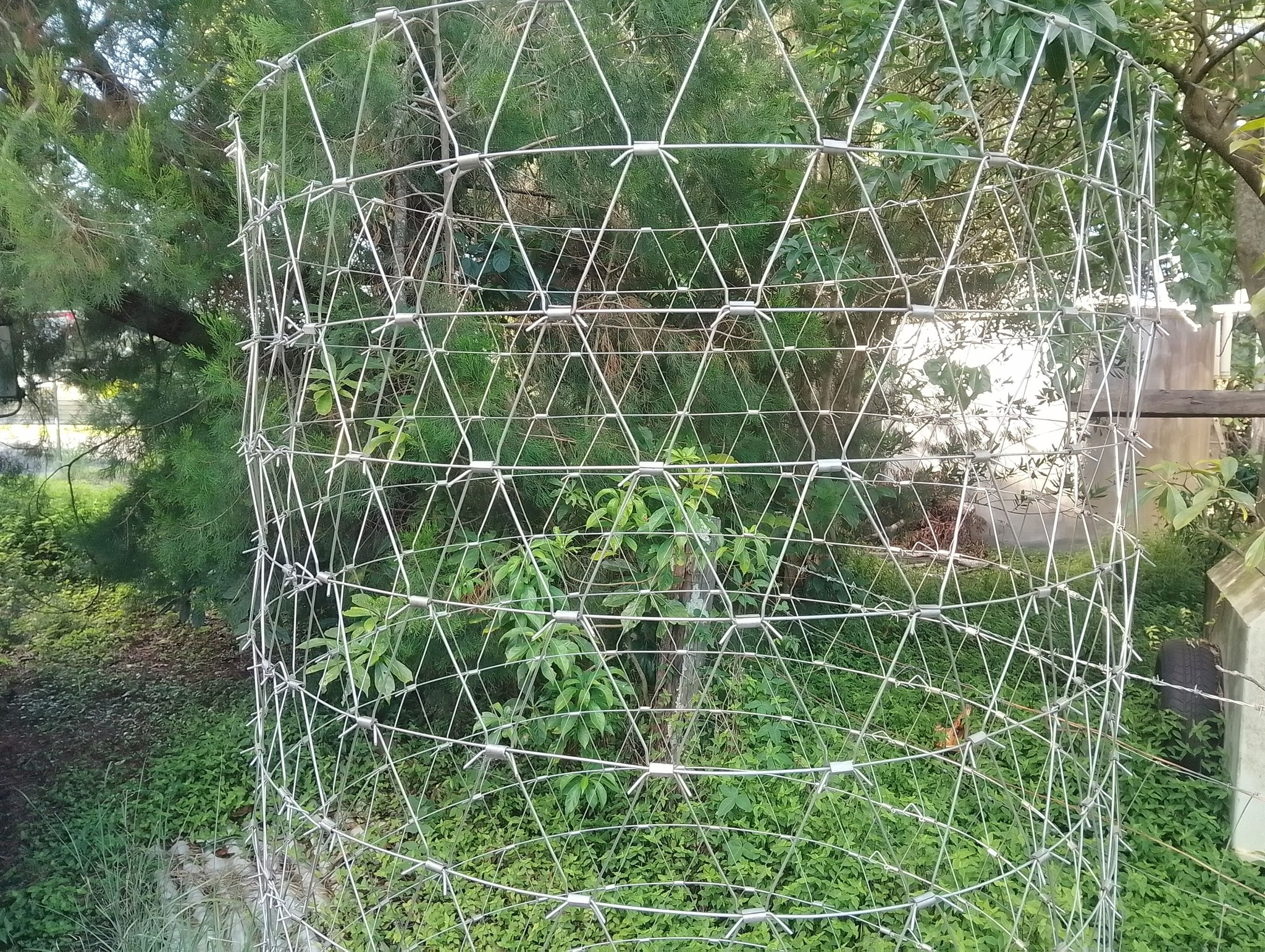 Close-up of Moonochew barbed stainless spring steel tree guard