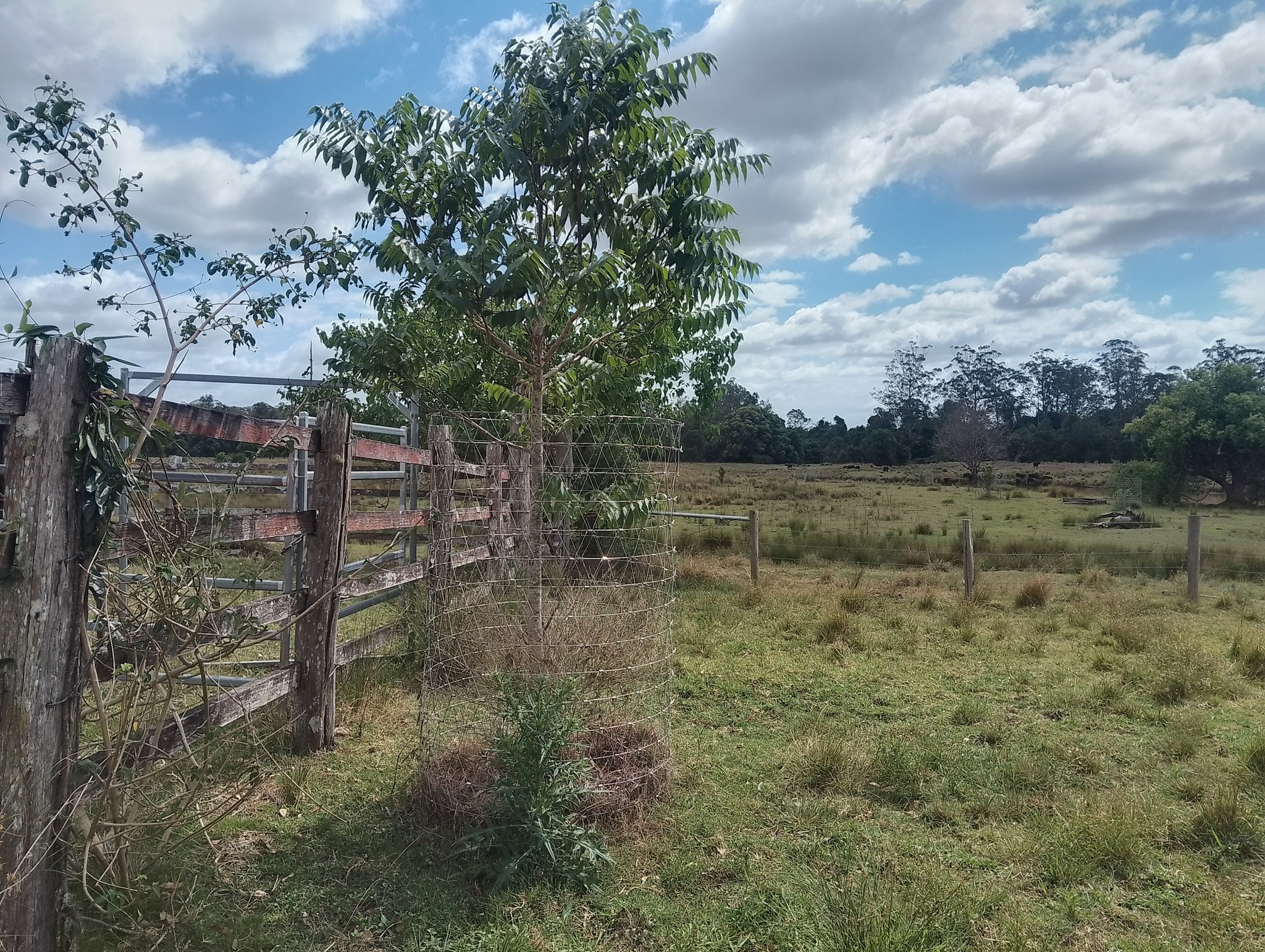 Wildlife around Moonochew guard