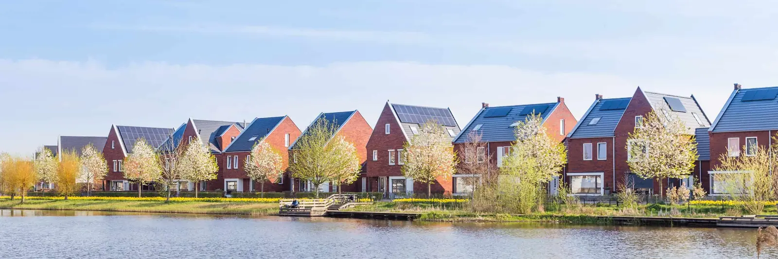Decoding Property Surveys Easily