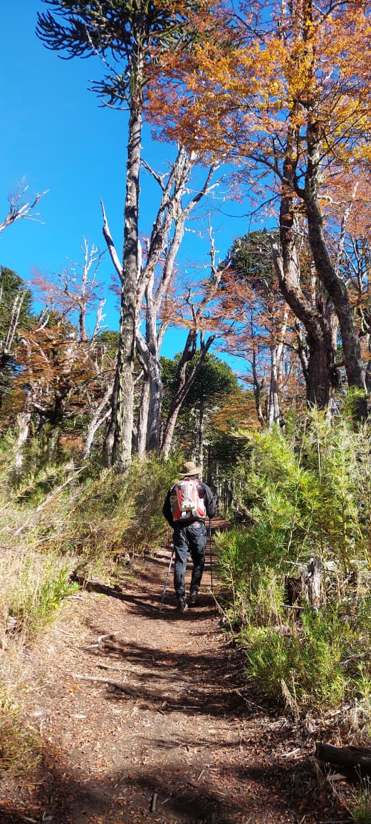 Caminata Parque Nacional