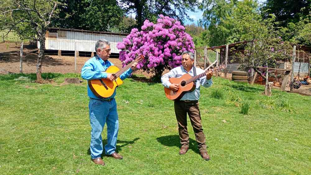 Grupo Nahuelpan Manquepan