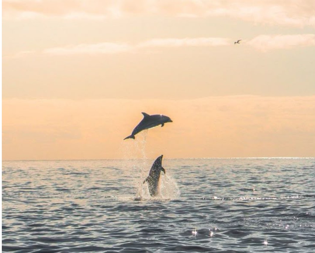Saat Biru Menjelma Terrakotta dan Tata Cara Pulang